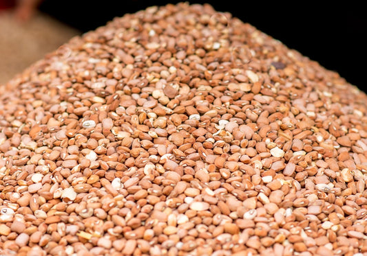 Beans